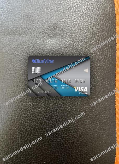 USA California BlueVine bank visa classic card photolook front